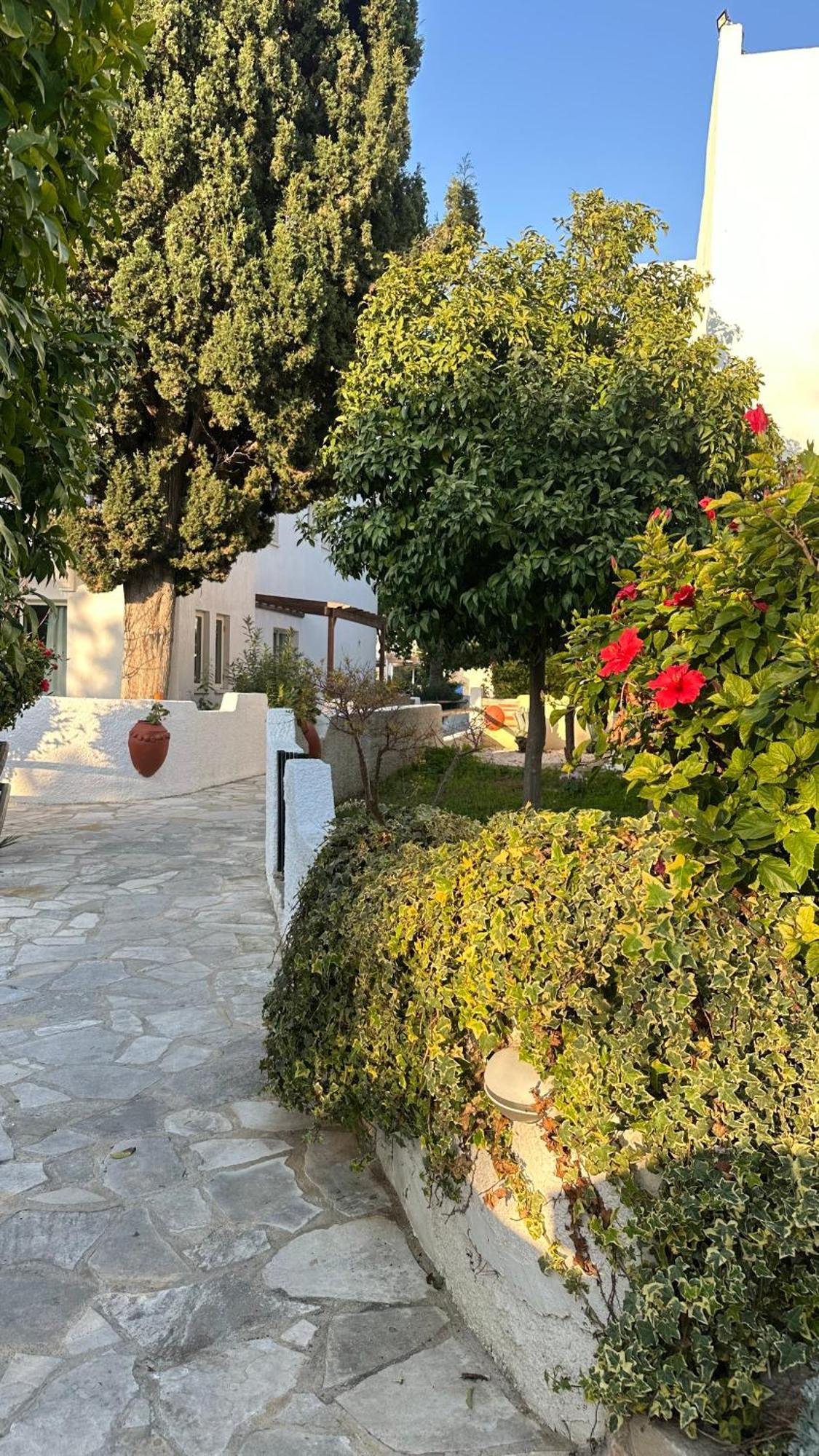 Paphos gardens studio suite Extérieur photo